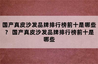 国产真皮沙发品牌排行榜前十是哪些？ 国产真皮沙发品牌排行榜前十是哪些